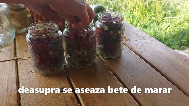 Conopida murata cu sfecla rosie pentru iarna смотреть онлайн