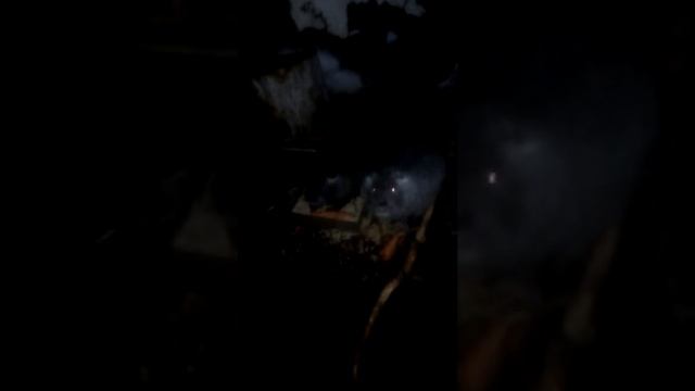 Нутрии смотреть онлайн