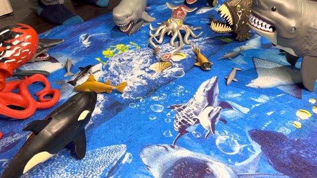 Sea Animal fun for kids - Shark, Whale, Dolphin, Octopus, Turtle, Crab, Seal смотреть онлайн