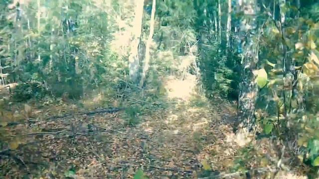 в Нарнии смотреть онлайн