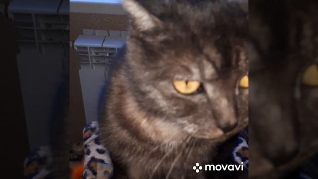 ☆☆☆☆Неразлучные подружки☆Очень милые созданья☆☆☆☆ смотреть онлайн