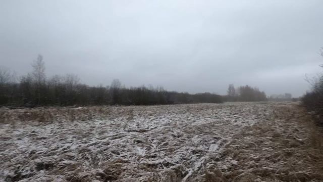 Охота с Добычем на зайца беляка с Василичем 15 11 2023 смотреть онлайн