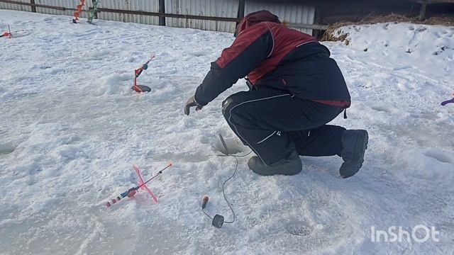 Форель в Липках смотреть онлайн
