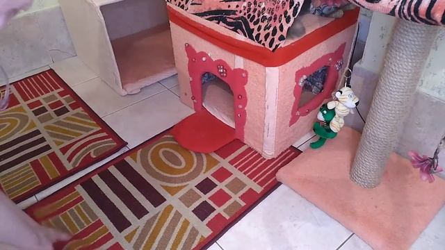 Строим дом ещё один. Дом лабиринт,.