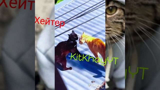 Хейтер VS KitKhayYT (Ну как ХеХе)