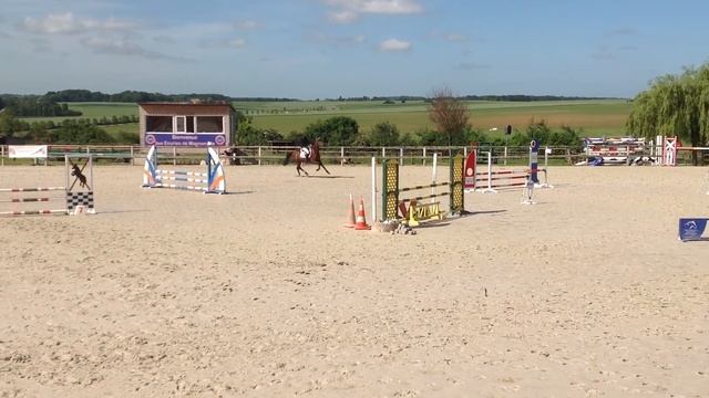 Upercut Star Troides Cso Maganville Prepa 80cm