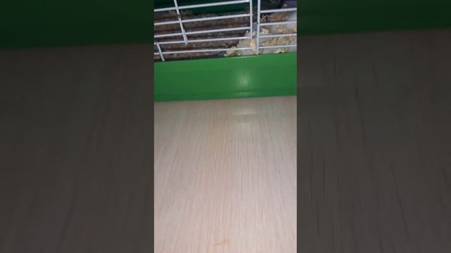 духи в Литуале 1 часть смотреть онлайн