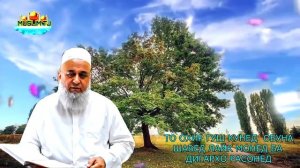 Хочи Мирзо дар бораи мохи шарифи рамазон ва руза