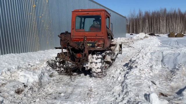 ВОЛЬЕРНАЯ ОХОТА НА КАБАНА, ПРОДАЖА ПШЕНИЦЫ…. смотреть онлайн