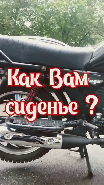 Как Вам ? #shorts #сиденье #dingo xl #мотоцикл #мото #мопед #musstang #alfa #alpha смотреть онлайн