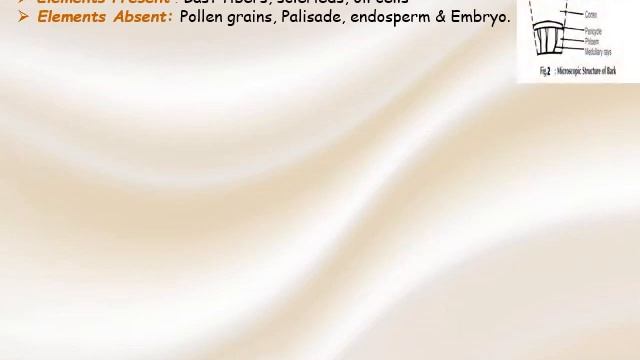 section 5,6(cinnamon & cassia) смотреть онлайн