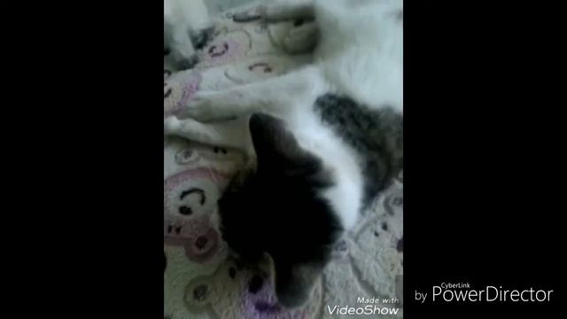 Вася и Лика поют песню! смотреть онлайн