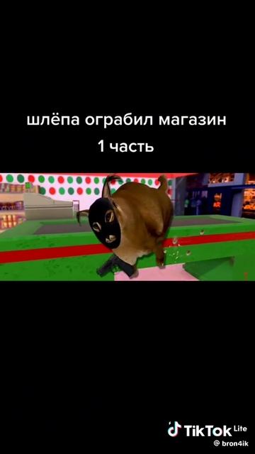 шлёпа ограбил магазин