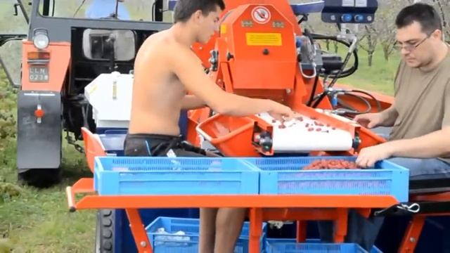 Mechaniczny Zbiór Malin - JAREK 5 смотреть онлайн