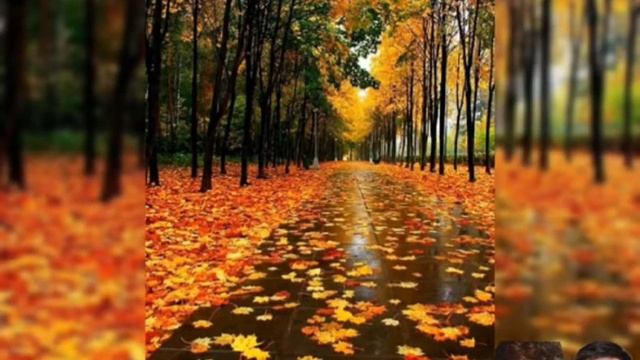 ю. шатунов листопад смотреть онлайн