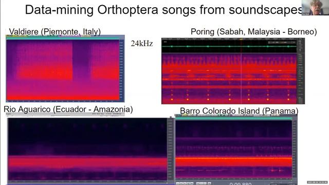 O31 - Data-mining soundscapes for Orthoptera смотреть онлайн