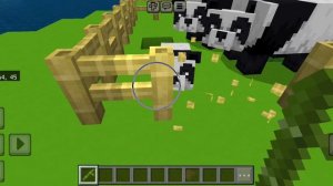 обзор дома и пандачки