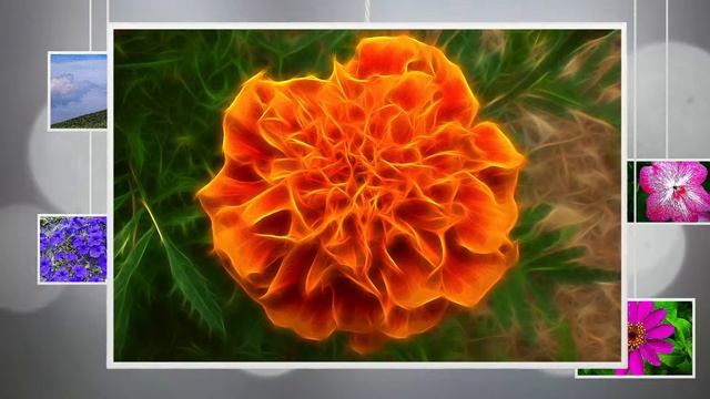 Fragmentic (Fragment 8) смотреть онлайн