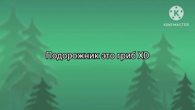 Подорожник это гриб смотреть онлайн