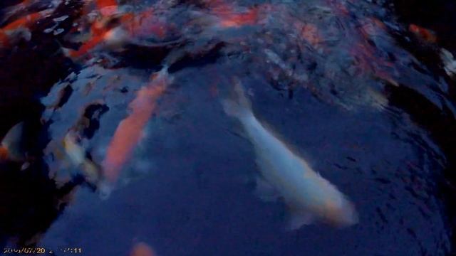 2016 07 20 18 16 02 смотреть онлайн