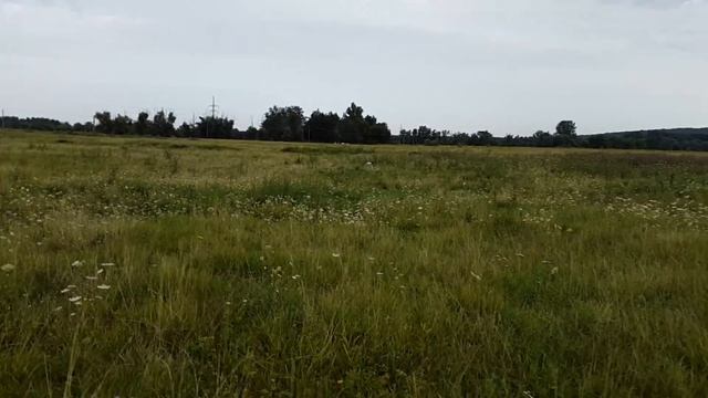 Максимус.  Нам скоро 5 месяцев.