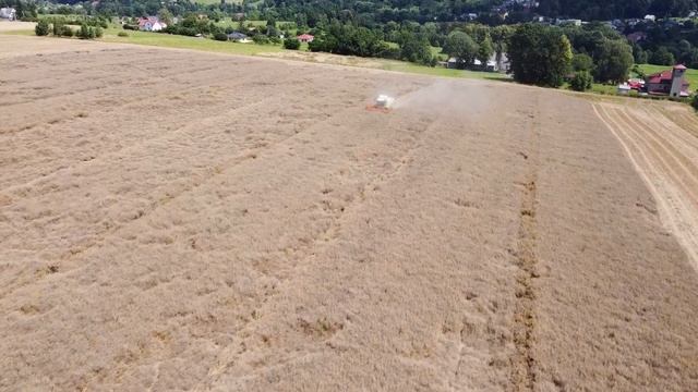 Žně 2020 Sklizeň řepky Claas Tucano 450 A CASE IH MAXXUM 135 смотреть онлайн