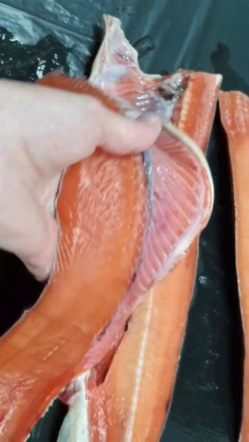 🔥КЕТА ПБГ, Красная рыба Камчатки #рыбалка #морепродукты смотреть онлайн