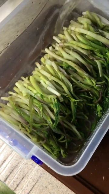 Շուշանի թթու: Саленый шушан. #շուշանիթթու смотреть онлайн