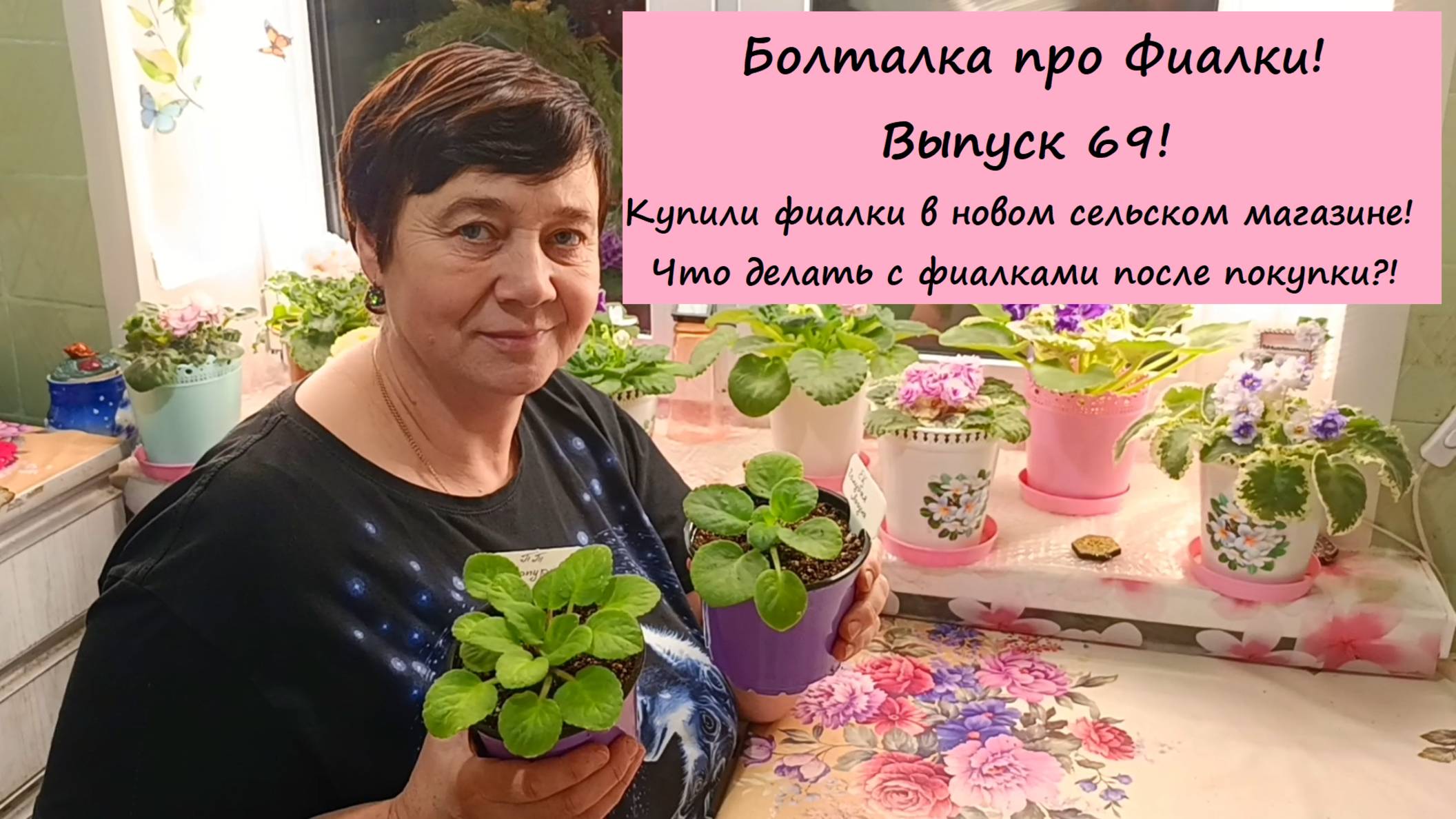 Болталка про Фиалки! Выпуск 69! Купили Фиалки в новом сельском магазине!