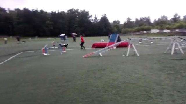 Сэм Адж РКФ. смотреть онлайн