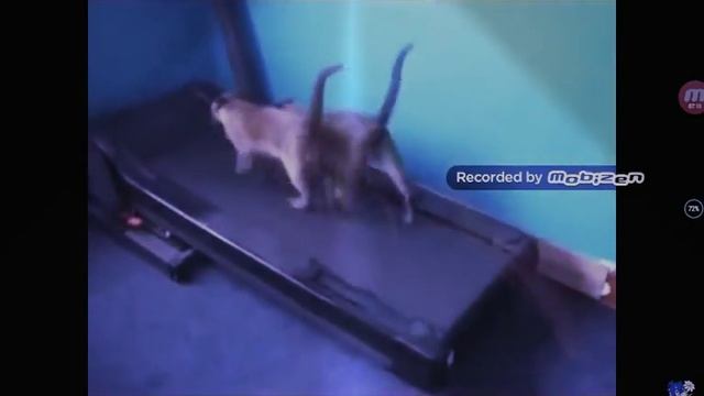 ``Ржу немогу,, смотреть онлайн