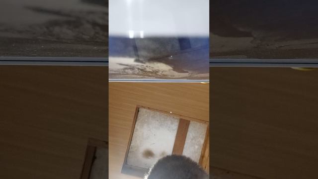 Это что такое