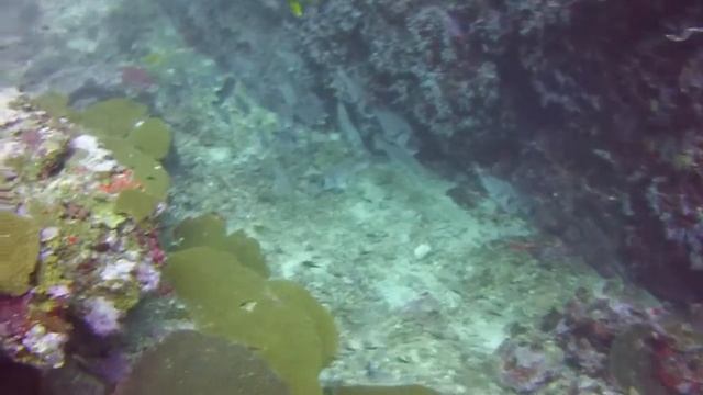 12 Koh Bon Rige смотреть онлайн
