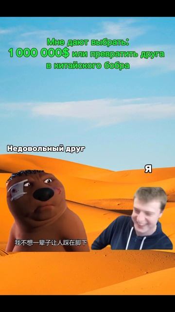 Друг - Бобёр | Меллстрой