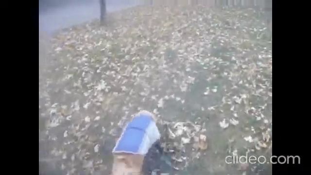 ВЛОГ. Прогуливаемся с Сюзечкой. Дядя в больнице... смотреть онлайн
