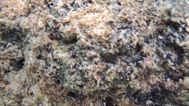 Playa Cristal Parque Tayrona смотреть онлайн