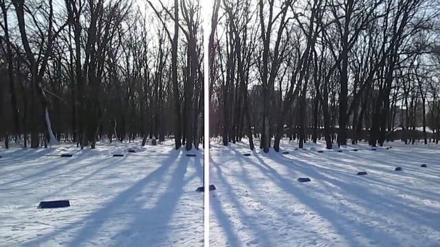 Лыжная гонка 11.02.2018 памяти МС Э.Быкова и директора ДЮСШ №11 Н.Г. Муравлева, г. Самара смотреть онлайн
