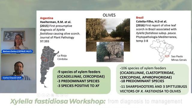 Xylella fastidiosa Workshop: from diagnosis to management - Session 2 - August 11 смотреть онлайн