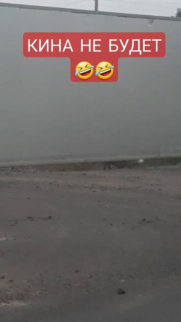 Кина не будет.Лисица #лиса #fyp #смех #смехдослез #юмор #ржака