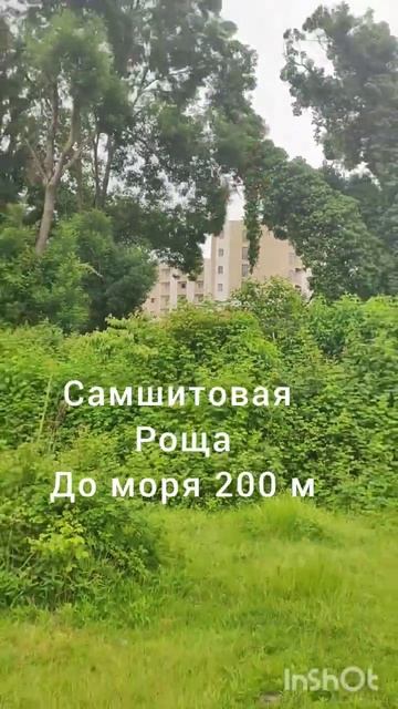 хотите гостиницу рядом с "Самшитовой рощей", с доступом к лечению и парку для ваших туристов? смотреть онлайн