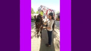 Суруди "Ёсуман"