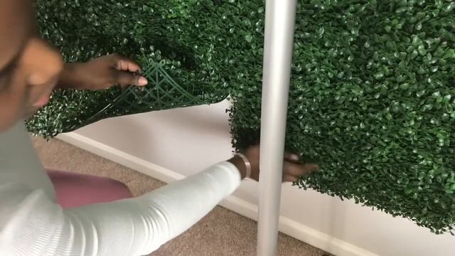 DIY Boxwood Hedge Backdrop | No Plywood | Your Questions Answered смотреть онлайн