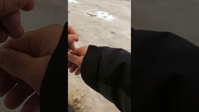 Ловим на форелевую пасту смотреть онлайн