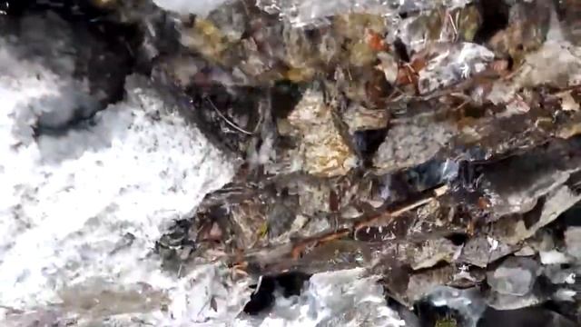 Көк Жайлау смотреть онлайн