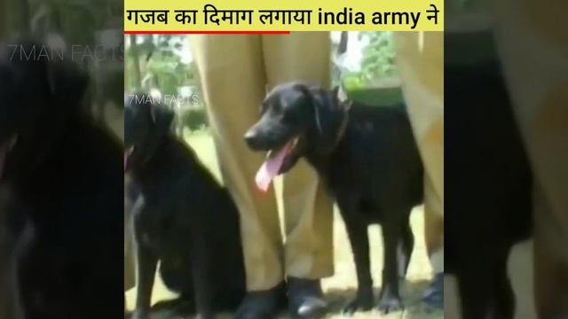 भारतीय आर्मी ने कैसे पागल हो या पाकिस्तान को 🇮🇳 #shorts смотреть онлайн