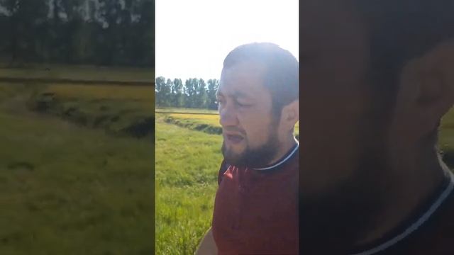 Может перейти на выращивание утки? смотреть онлайн
