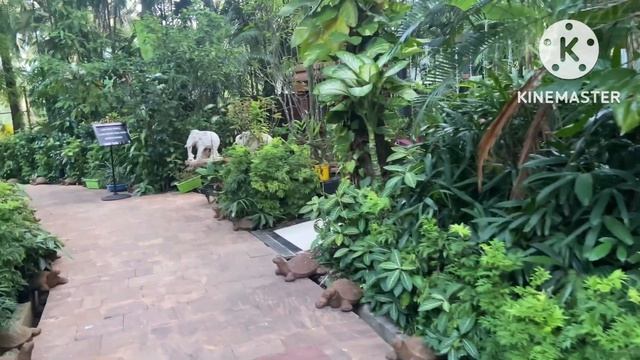 Rishi Birthday planning || Place ? || Fenicia River side Resort Tour || Room Tour || смотреть онлайн