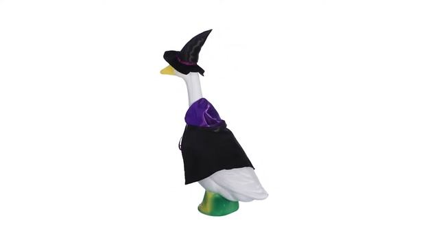Witch Goose Outfit | Gaggleville смотреть онлайн