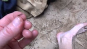 В джунгли Таиланда.