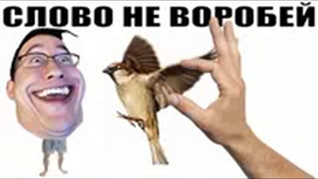 ✅ Задал тупому спиздалисту сложные вопросы / мошенники звонят по телефону